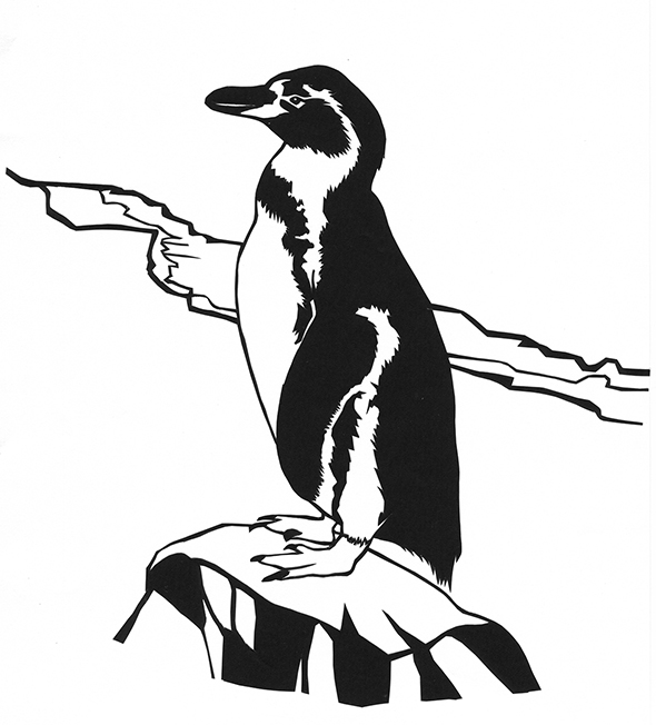 フンボルト penguin